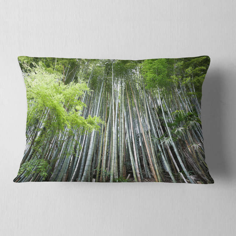 Housse de coussin carré et insert Dense
