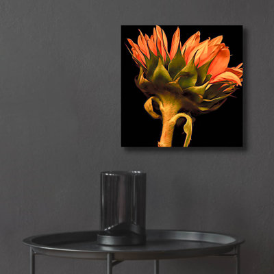 «Sunflower» par Pamela Plummer, art acrylique «Sunflower» par Pamela Plummer