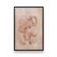 «Saltwater Shell Study II» par Grace Popp, reproduction d'art sur toile-1228599796-1228599688-1228599798
