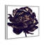 Pivoine noire - Impression sur toile-80844206-80844203