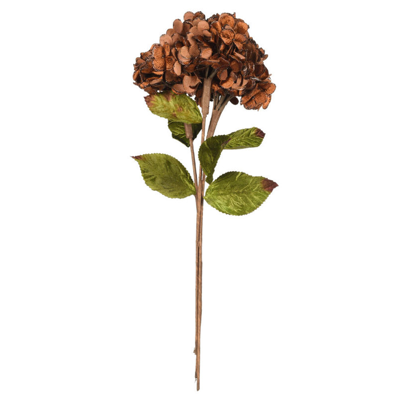 Tige d'hortensia Vickerman, Brun
