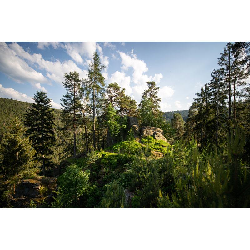 Belle forêt en Allemagne par Taikrixel, H 24 po x l 36 po