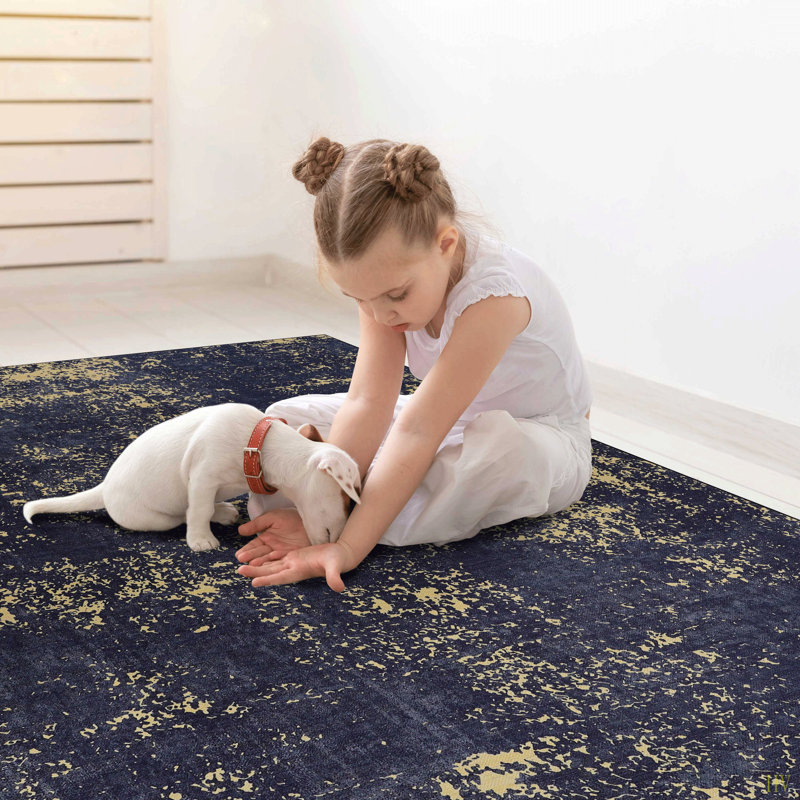 MAVAL  Washable Rug 3X5 Area Rug (3' X 5'), Rectangle 3' x 5'