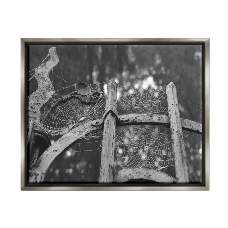 «Spooky Spider Webs» par Daphne Polselli - Photographie flottante sur toile tendue, H 17 po x l 21 po x P 1,7 po