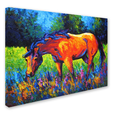 Kucera 'Mare II' Print on Wrapped Canvas
