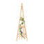 172.7cm H Wood Obelisk Trellis-1269764958-1269764959