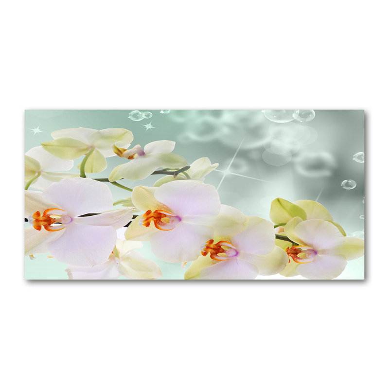 White Orchid - Wrapped Canvas Print