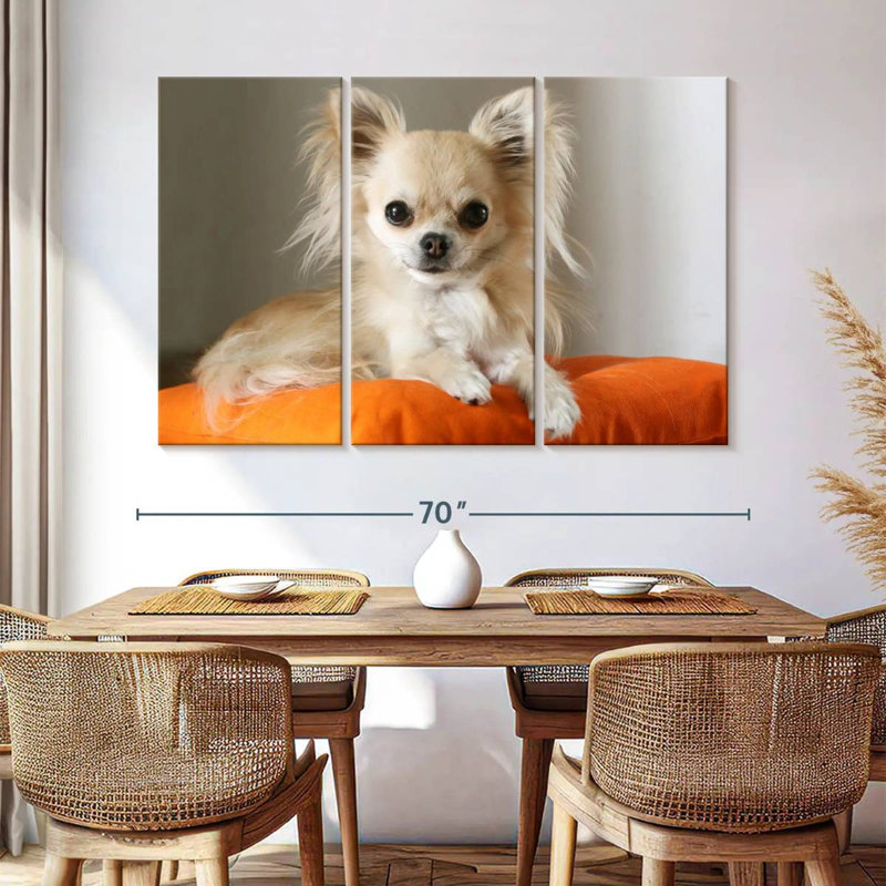 Chihuahua sur un coussin, H 24 po x l 38 po