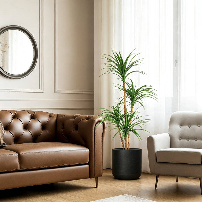 120cm Plant