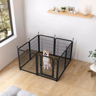 Iron Yard Kennel