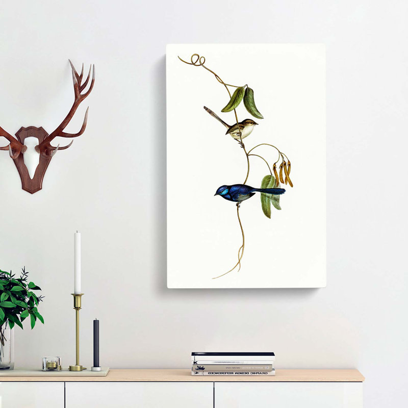 Banded Wren by Elizabeth Gould - Wrapped Canvas, 50cm H x 35cm W x 3cm D