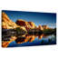 Paysage de piscine Joshua Tree-596799201
