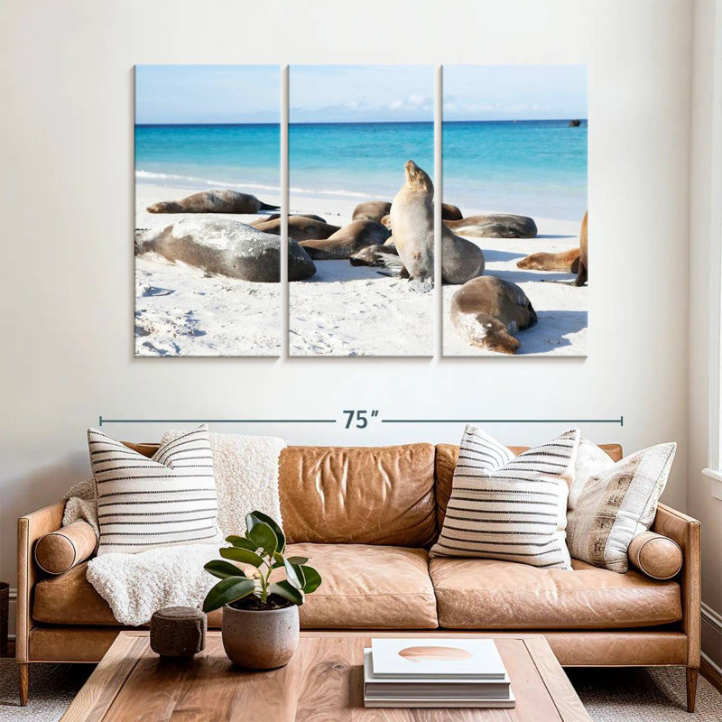 Brampt Galapagos Sea Lion Colony, 32" H x 50" W
