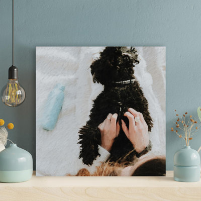 Une fille prenant soin d'un caniche noir - 1 pièce, reproduction d'art graphique sur toile tendue