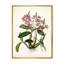 «Vintage Plant Life VII», peinture sur toile-59814710-59814711