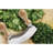 Fante's Stainless Steel Slicer