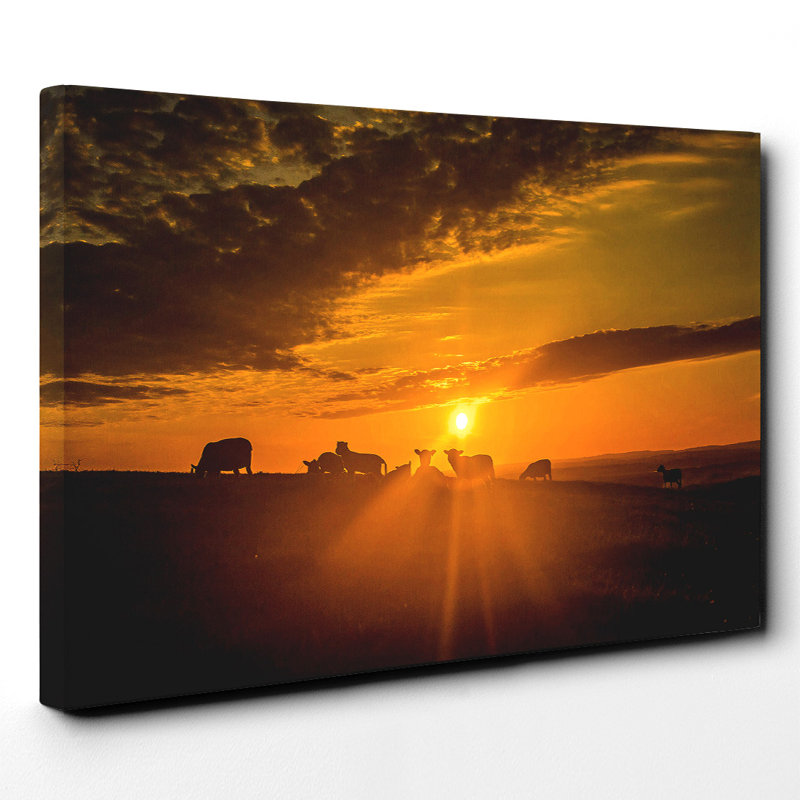 Wrapped Canvas Print, 50cm H x 76cm W