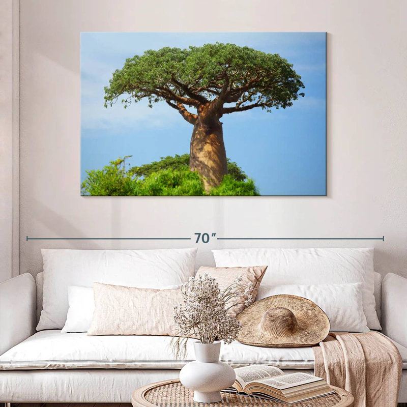 Baobab africain, H 32 po x l 48 po