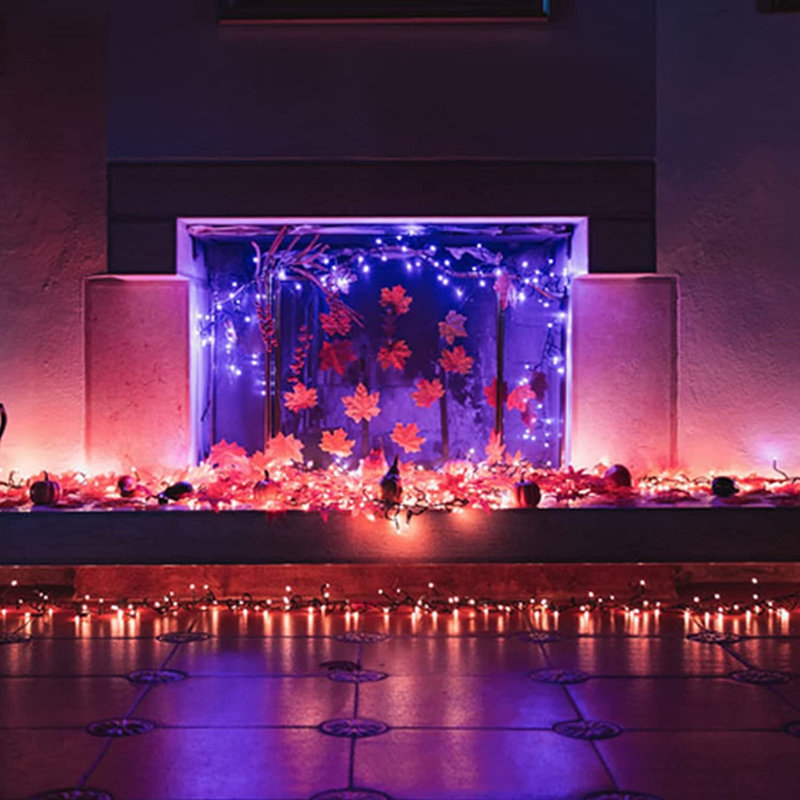 480'' Twinkle String Lights
