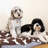 Pet Blanket-78370705