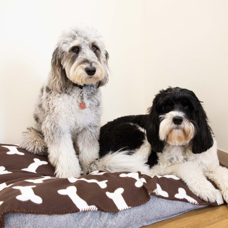 Soft Polar Fleece Pet Blanket Pack - 24x28