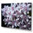 Wrapped Canvas
