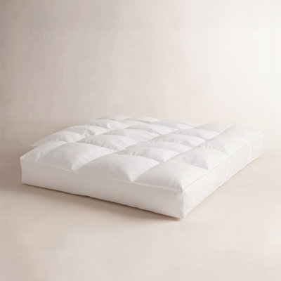 Terron Down Mattress Topper
