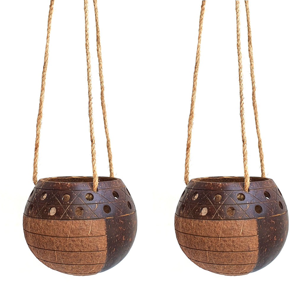 Coconut Shell Hanging Planter Rainforest Bowls Set 