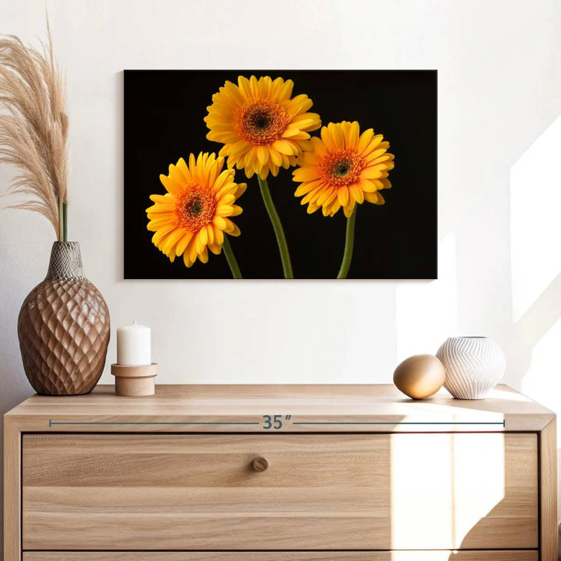 Trois marguerites Harnek sur fond sombre, H 16 po x l 24 po