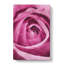 The Heart Of A Pink Rose - Wrapped Canvas-56664836