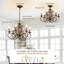 Lustre classique / traditionnel à 6 lumières à intensité variable Dirksen-611412866