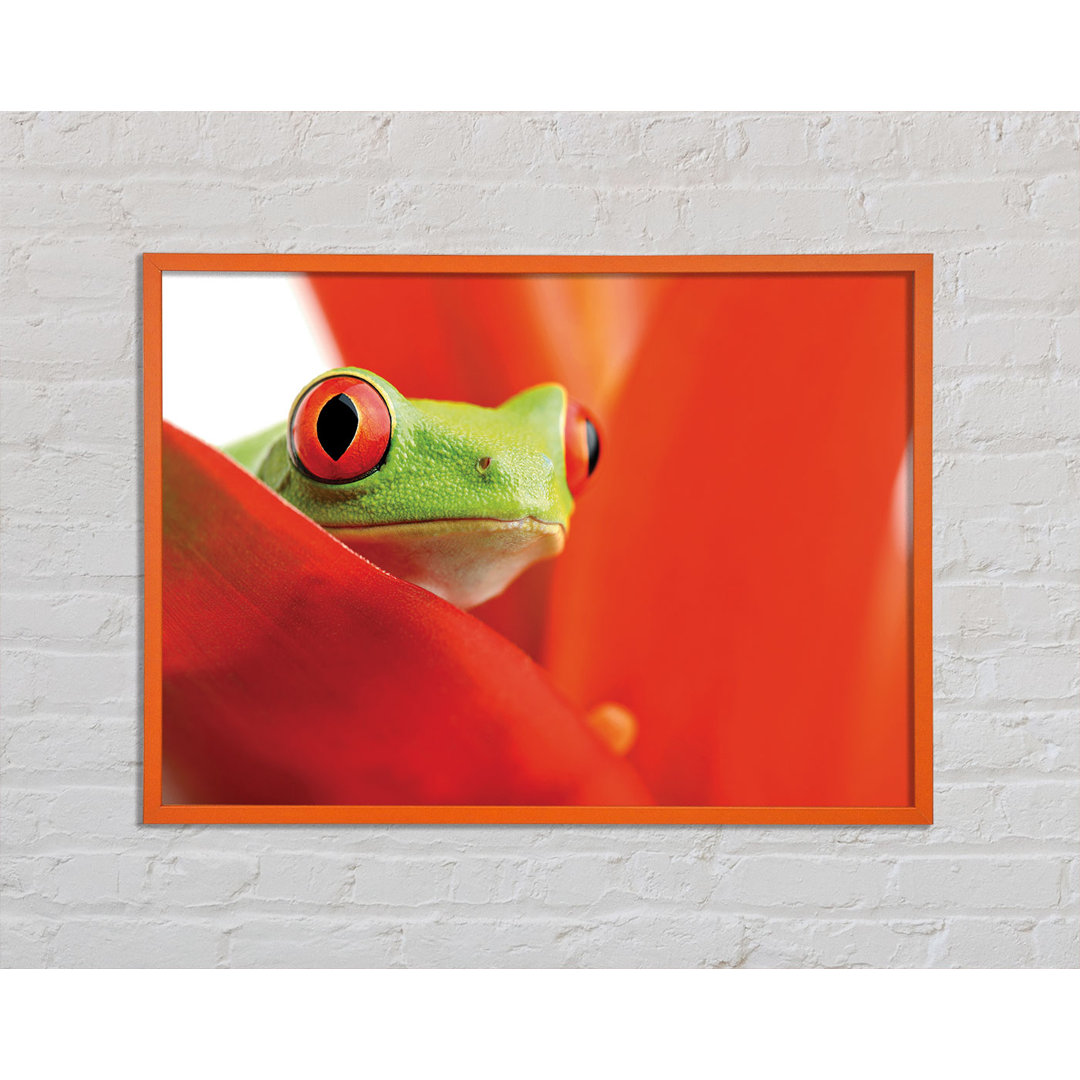 Aneesha Red Leaf Frog - Einzelner Bilderrahmen Kunstdrucke