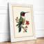 Hummingbird and Blossoms Botanical - Framed Print-644878931-644879276
