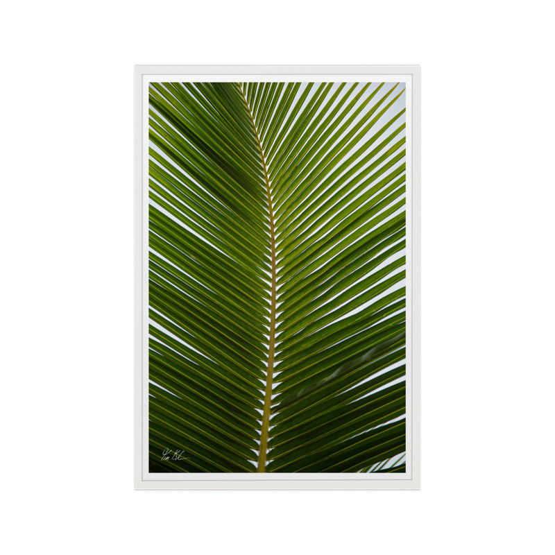 Palmier tropical, Cadre blanc, H 30 po x l 20 po x P 1,5 po, Lustre photo encadré