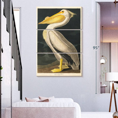 " American White Pelican From Birds Of America " 3 - Pieces