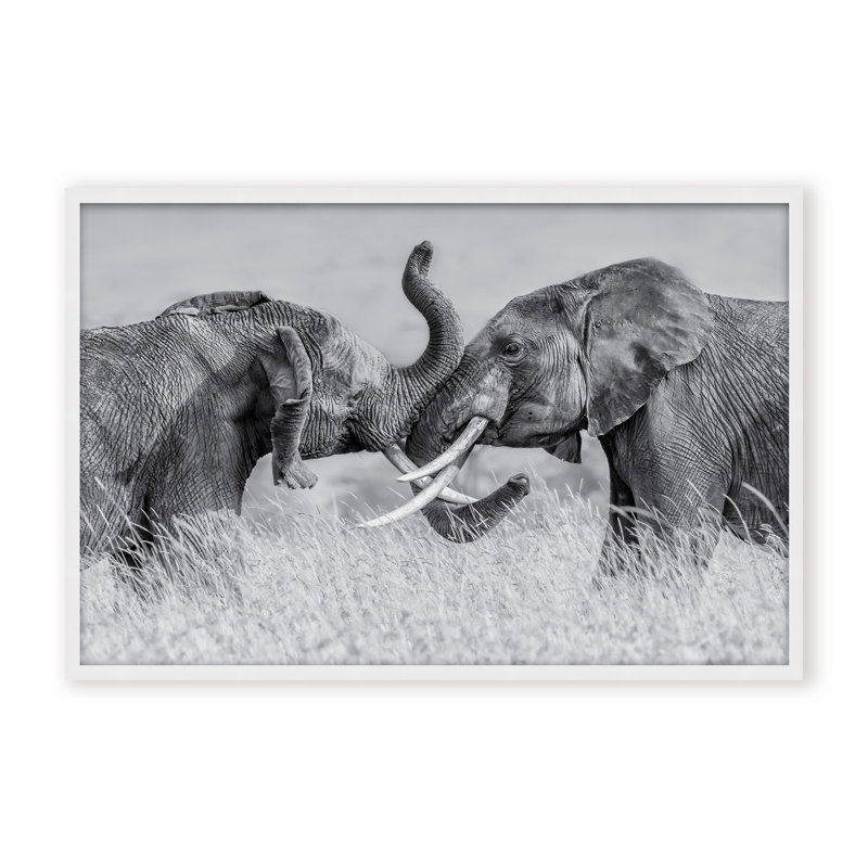 Nature Inspired Elephant Tai Chi by  - Picture Frame Photograph on Paper, 32" H x 48" W x 1.125" D, Framed Print, Beige