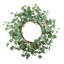 D23,6 po, couronne d'eucalyptus, vert