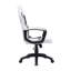 Fauteuil de jeu Zenith, blanc / noir