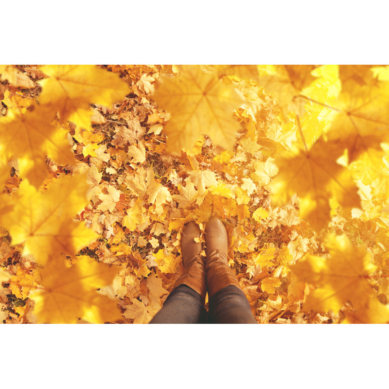 Feuilles d'automne - Photographie sur toile tendue, H 8 po x l 12 po
