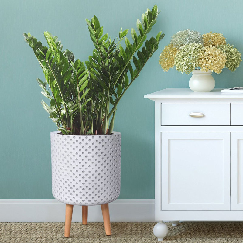 Dotted Style Cylinder Planter with Feet, White, 46cm H x 30.5cm W x 30.5cm D