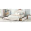Beige Queen Upholstered Bed With Twin Size Trundle & Storage - Stylish And Practical Bedroom Piece Platform Two Drawers, Essential