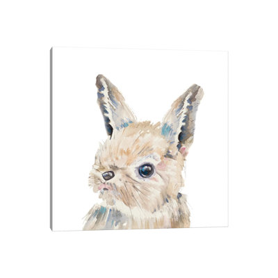 Baby Bunny Close Up by Patricia Pinto - Wrapped Canvas Gallery-Wrapped Canvas Giclée