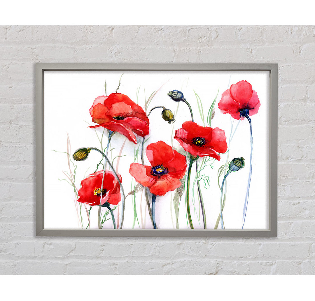 Mohn Magic Skies - Druck