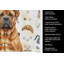 Serviette de cuisine Coffee Bar-1234934578