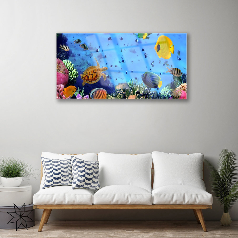 Glasbild Nature Coral Reef Underwater Fish