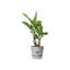 Greenville Planter-50010067-50010068