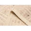 Tapis beige Tangier 7 pi 10 po x 9 pi 10 po