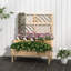 Nolic Wood Planter Box-528277958