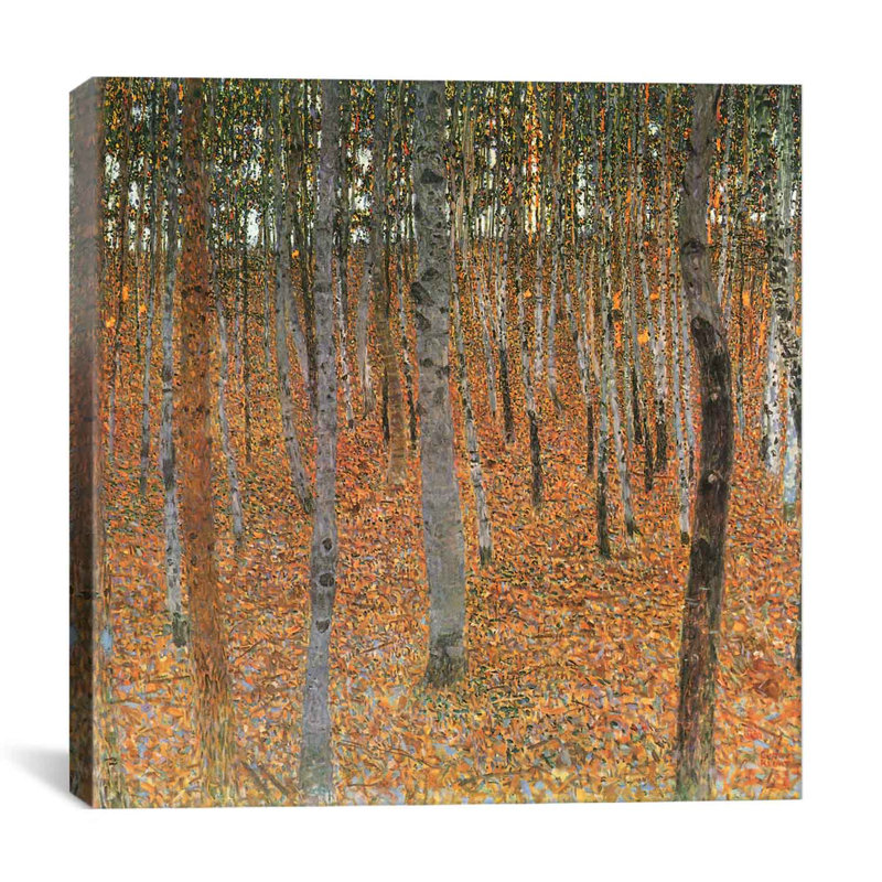 Forest of Beech Trees Landscape Canvas Art Print