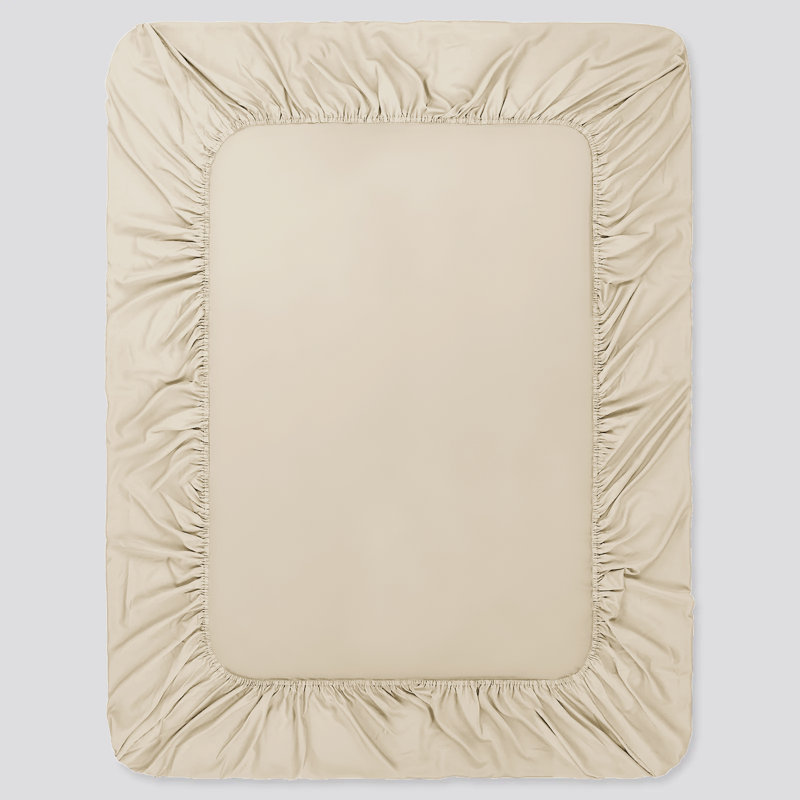 Javiyon Flannel Brushed Fitted Sheet, Single, Beige